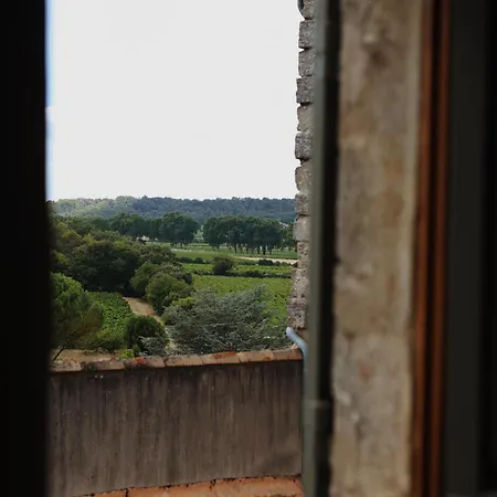 La Grande Valette By La Valette Boutique Near Uzes * Sagriès